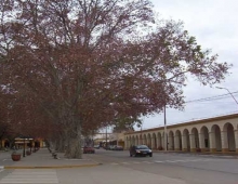 Recova, Calle principal y Plaza San Roque, Villa de Soto.-