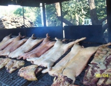 Asador Criollo