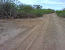 CAMINOS DEL IMPENETRABLE CHAQUEÑO