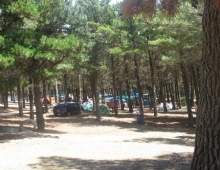 Camping de Ingenieros 