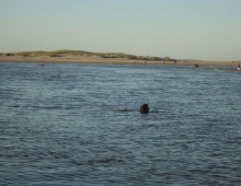 Desmbocadura de la laguna en el mar