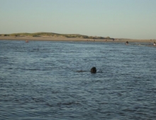 Desmbocadura de la laguna en el mar