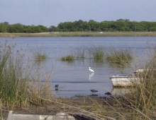 Detalle de la laguna