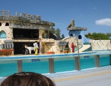 Hotel de Focas y Lobos Marinos