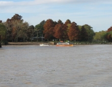 Lancha de pasajeros y colores en el tigre