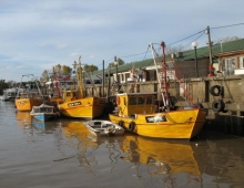 Pesqueros en el tigre