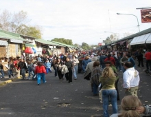 Puerto de frutos