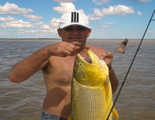 DORADO EN EL RIO PARANA