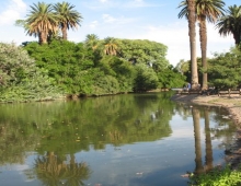 Lago de Palermo 