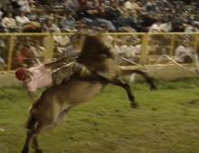 52 Edición del Festival de Doma y Folklore de Dean Funes