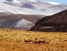 Laguna Brava - La Rioja