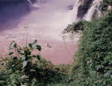 Vista de la parte baja del rio