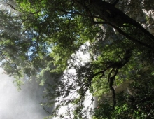 Cascada al final del camino en el Huechulaufquen