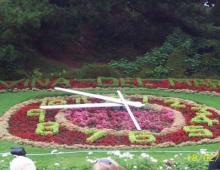 Reloj de Flores Viña del Mar